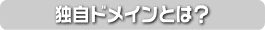 �Ǝ��h���C���Ƃ́H