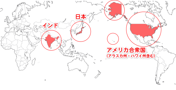海外の出張対応国:アメリカ合衆国・インド Countries covered by our on site support: United States of America, India